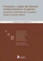 Formacion y objeto del derecho antidiscriminatorio de género : perspectiva sistemática de la igualdad desde el derecho público