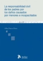 ESPONSABILIDAD CIVIL DE LOS