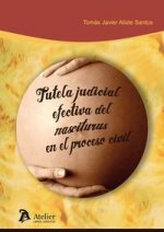 Tutela judicial efectiva del nasciturus en el proceso civil