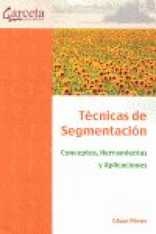 TECNICAS DE SEGMENTACION-CONCEPTOS,HERRAMIENTAS Y APLICACION