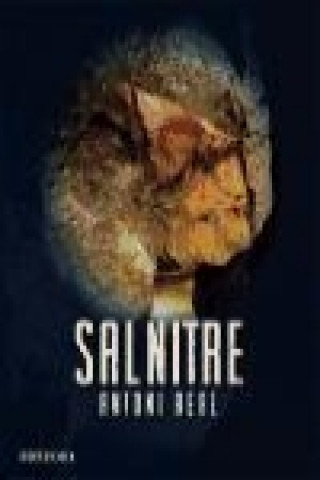 Salnitre