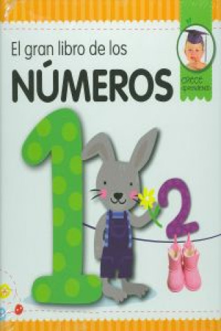 El gran libro de los números