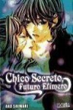 CHICO SECRETO, FUTURO EFIMERO (COMIC) (TOMO UNICO)