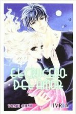 EL CRUCERO DEL AMOR (COMIC)