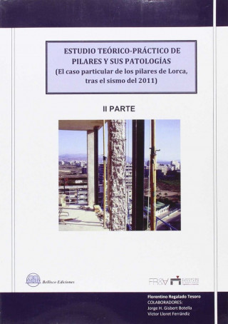 Estudio teórico-práctico de pilares y sus patologías