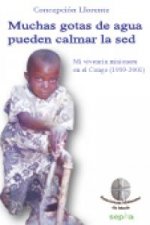 Muchas gotas de agua pueden calmar la sed (1959-2011) : mi vivencia misionera en el Congo