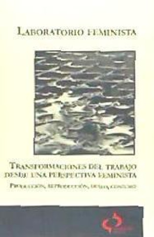 Transformaciones del trabajo desde una perspectiva feminista : (producción, reproducción, deseo, consumo)