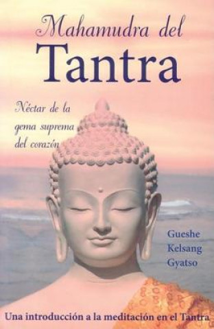 Mahamudra del Tantra: Nectar de la Gema Suprema del Corazon