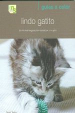 Lindo gatito : la vía más segura para socializar a tu gato