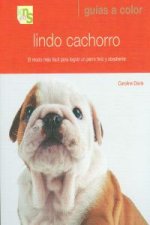 Lindo cachorro : el modo más fácil para lograr un perro feliz y obediente