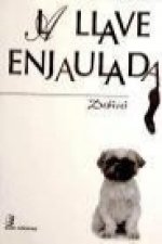La llave enjaulada
