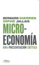 Microeconomía : una presentación crítica