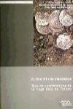 El oro de los visigodos : tesoros numismáticos de la Vega Baja de Toledo