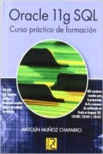 Oracle 11g SQL : curso práctico de formación