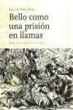 Bello como una prisión en llamas : breve relación de los Gordon Riots