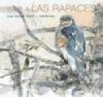 Viaje a las rapaces