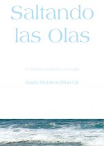 Saltando las olas : reflexiones sobre crianza, educación y desarrollo infantil