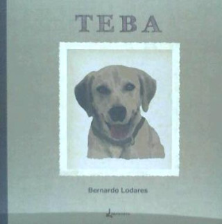 Teba