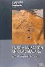 La romanización en Guadalajara : arqueología e historia