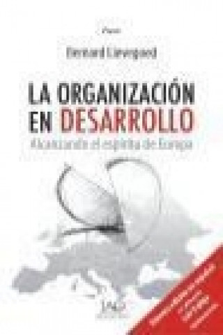 La organizacion en desarrollo