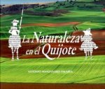 La Naturaleza en el Quijote