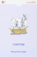Cabotaje