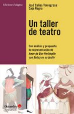 Un taller de teatro: Con análisis y propuesta de presentación de Amor de Don Perlimplín con Belisa en su jardín