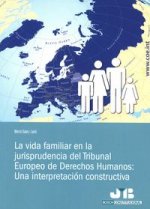 La vida familiar en la jurisprudencia del Tribunal Europeo de Derechos Humanos: Una interpretación constructiva