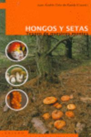 Hongos y setas : tesoros de nuestros montes