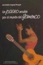 Un paseo amable por el mundo del flamenco