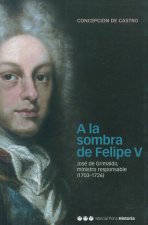 A la sombra de Felipe V : José de Grimaldo, ministro responsable (1703-1726)
