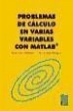 Problemas de cálculo en varias variables con Matlab