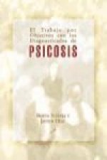 El trabajo por objetivos con los diagnosticados de psicosis