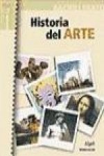 Bromera.txt, historia del arte, Batxillerat