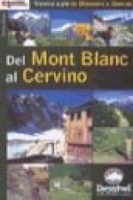 Del Mont Blanc al Cervino : una ruta pedestre de Chamonix a Zermait