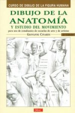 Dibujo de la anatomía y estudio del movimiento