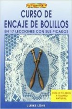 Curso de encaje de bolillos : en 17 lecciones con sus picados