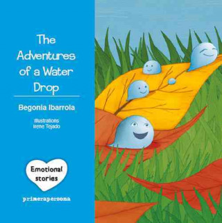 The Adventures of a Water Drop