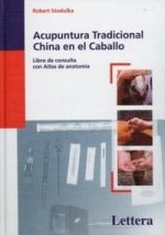 Acupuntura tradicional china en el caballo