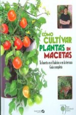 Cómo cultivar plantas en macetas : tu huerto en el balcón o en la terraza