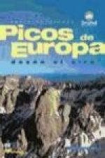 Picos de Europa desde el aire
