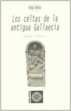 Los celtas de la antigua Gallaecia