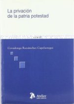Privación de la patria potestad