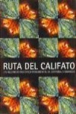 Ruta del califato : un recorrido histórico monumental de Córdoba a Granada