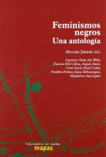 Feminismos negros : una antología
