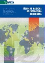 Técnicas básicas de estructura económica