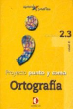 Aprende y practica, punto y coma, ortografía, 2.3