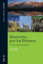 Itinerarios por los Pirineos : 24 rutas para descubrirlo