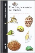 Conchas y caracolas del mundo