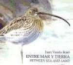 Entre mar y tierra : las marismas del Sur = Between sea and land : the Southern marshes